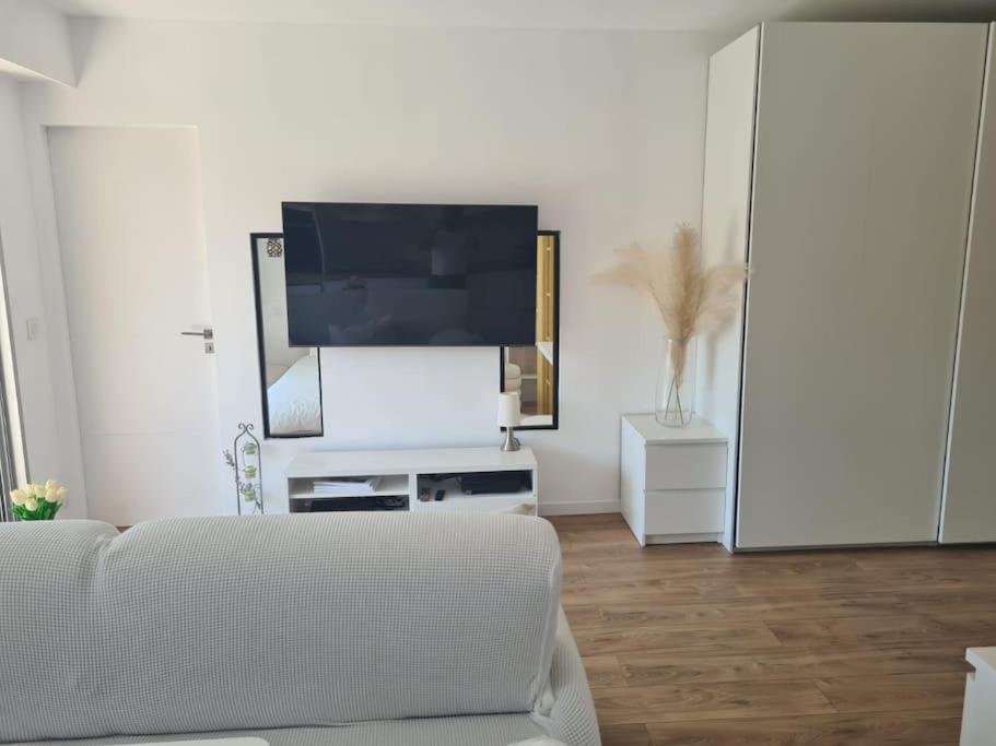 Appartement Superbe Luxueux Spacieux 50 M2 Port