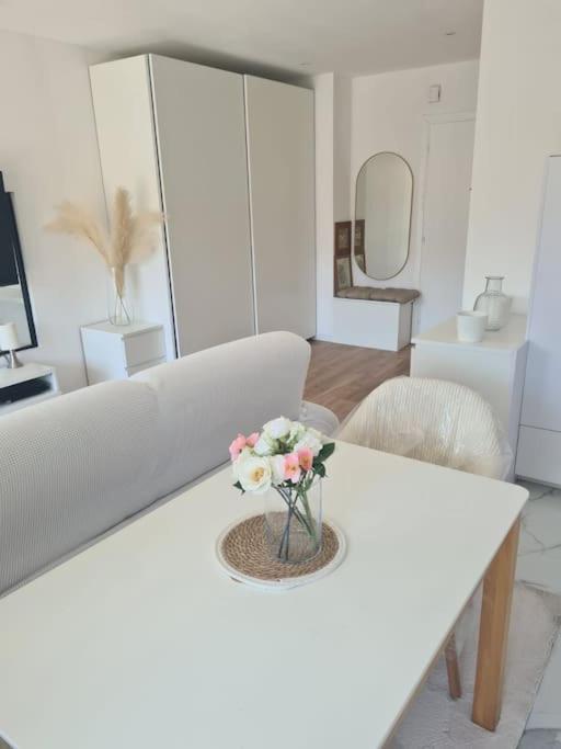 Superbe Luxueux Spacieux 50 M2 Port Leilighet Nice