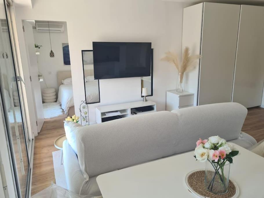 Superbe Luxueux Spacieux 50 M2 Port Appartement