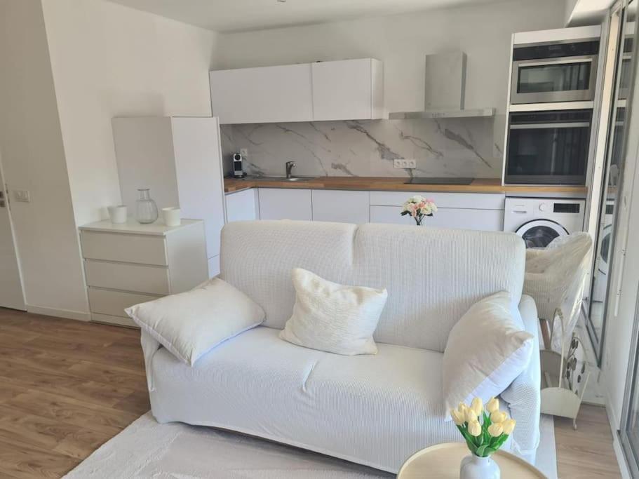 Appartement Superbe Luxueux Spacieux 50 M2 Port *